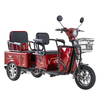 48 U /60 U 20a Električni tricikl potrošačke 1000 W sa diferencijalnim motor, mali bicikl za prijevoz putnika i tereta, izdržljivost, 70 km