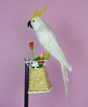 oko 40 cm bijelo perje Kakadu papagaj, model ručnog rada, ptica je od polietilena i perja, rekvizite, igračka za uređenje doma, dar w3942